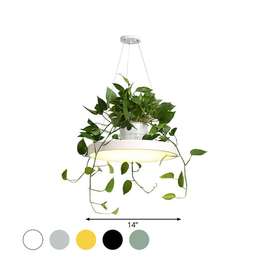 Brooklyn - Round Macaron Round Hanging Light Acrylic LED Pendant Lighting Fixture in Black/Grey/White with Top Plant Pot