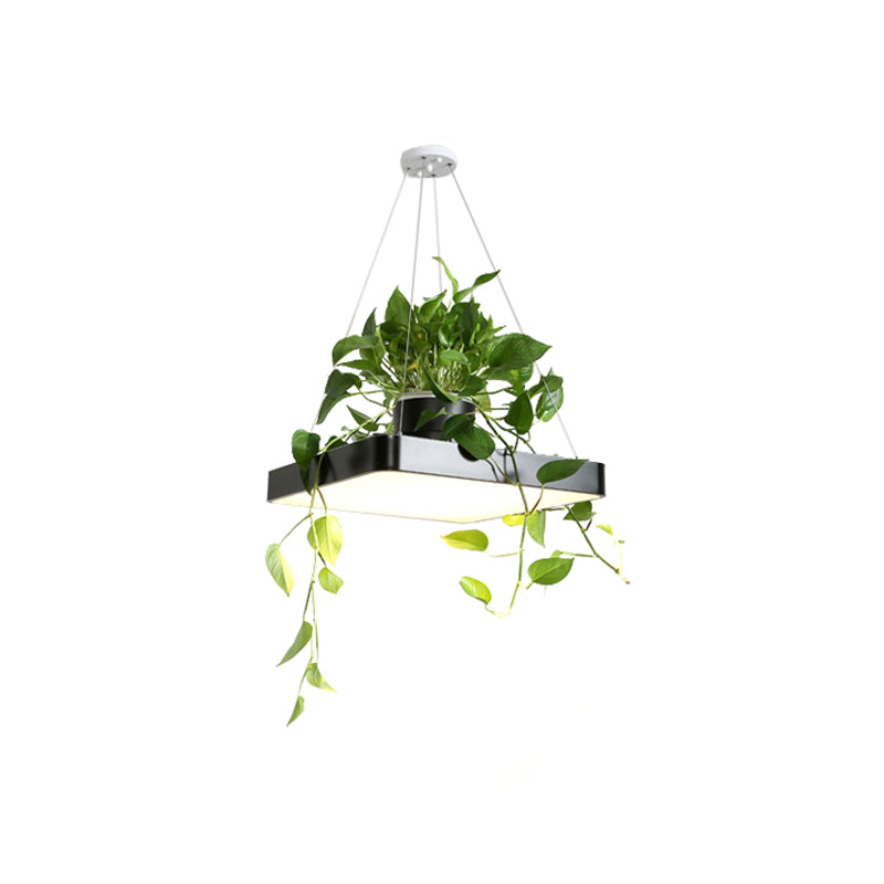 Modern Square LED Pendant Lamp with Plant Container - Nordic Acrylic, Black/White/Blue, 16"/19.5" W