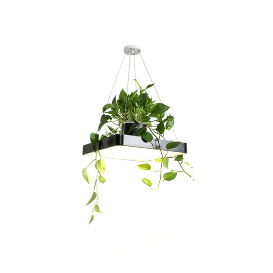 Nordic Acrylic Ceiling Pendant Led Lamp With Plant Container - Black/White/Blue 16/19.5 W