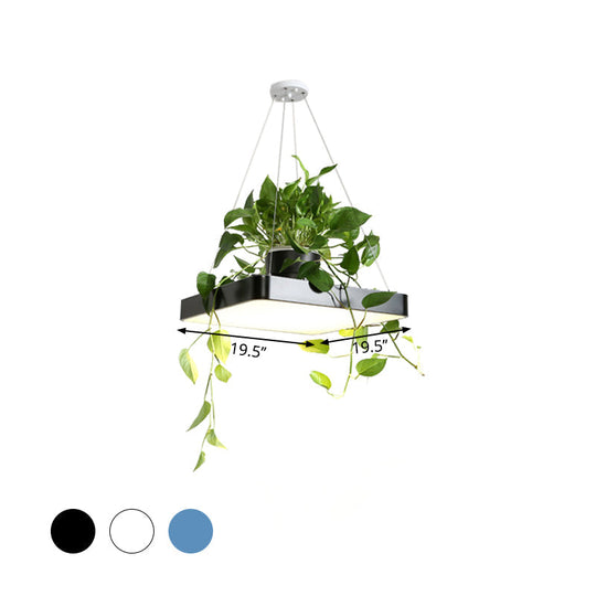 Modern Square LED Pendant Lamp with Plant Container - Nordic Acrylic, Black/White/Blue, 16"/19.5" W