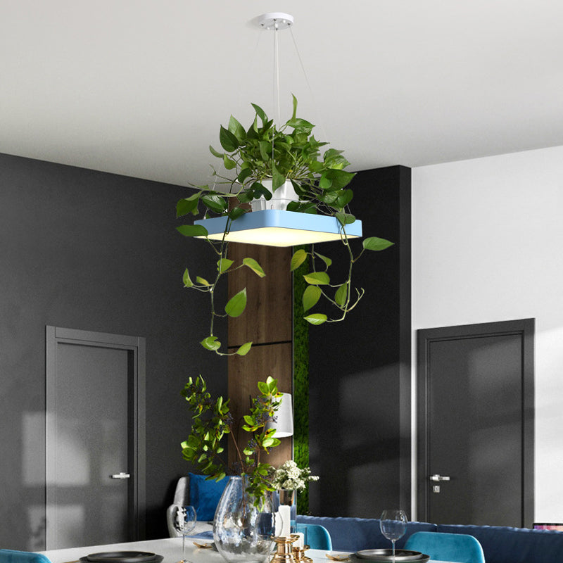 Modern Square LED Pendant Lamp with Plant Container - Nordic Acrylic, Black/White/Blue, 16"/19.5" W