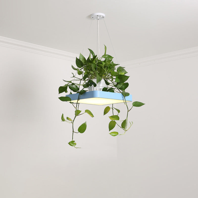 Modern Square LED Pendant Lamp with Plant Container - Nordic Acrylic, Black/White/Blue, 16"/19.5" W