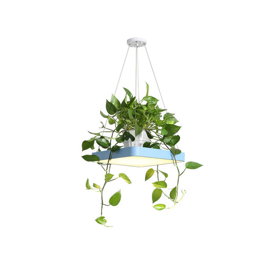 Modern Square LED Pendant Lamp with Plant Container - Nordic Acrylic, Black/White/Blue, 16"/19.5" W