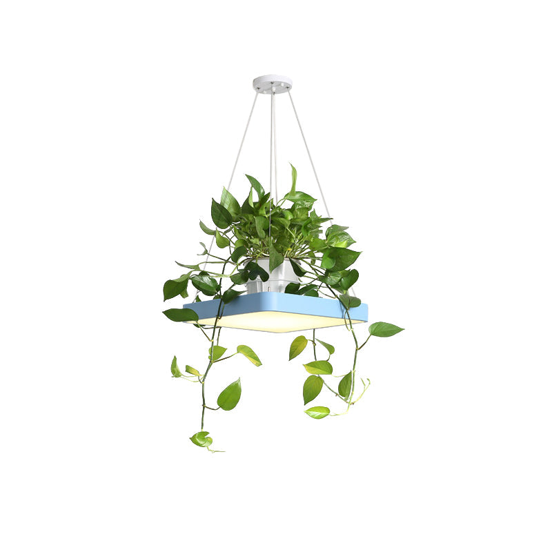 Nordic Acrylic Ceiling Pendant Led Lamp With Plant Container - Black/White/Blue 16/19.5 W