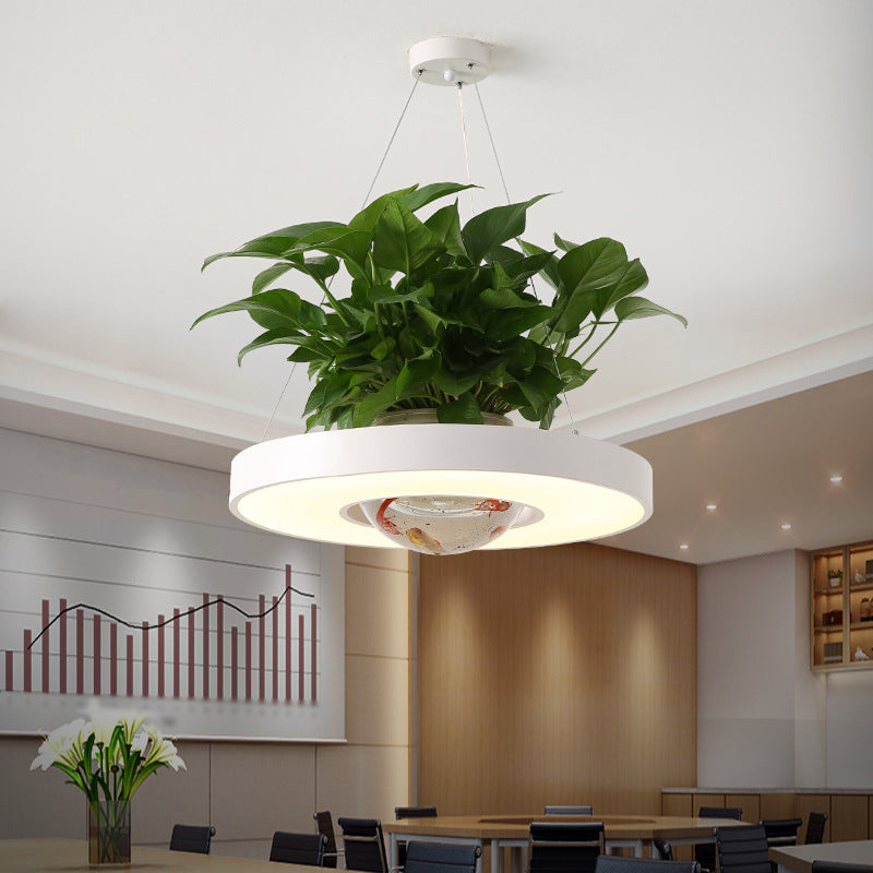 16"/19.5" Acrylic LED Ceiling Hang Light Nordic Circle Dining Room Down Lighting with Fish Bowl - Black/White/Green