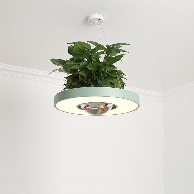 16"/19.5" Acrylic LED Ceiling Hang Light Nordic Circle Dining Room Down Lighting with Fish Bowl - Black/White/Green