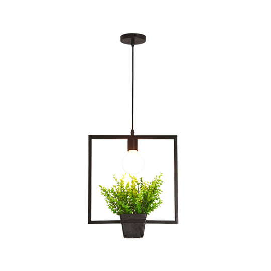 Single Plant Pendant Light Fixture - Rustic Iron Hanging Lamp in Black (Triangle/Square/Oval)