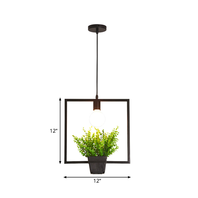 Single Plant Pendant Light Fixture - Rustic Iron Hanging Lamp in Black (Triangle/Square/Oval)