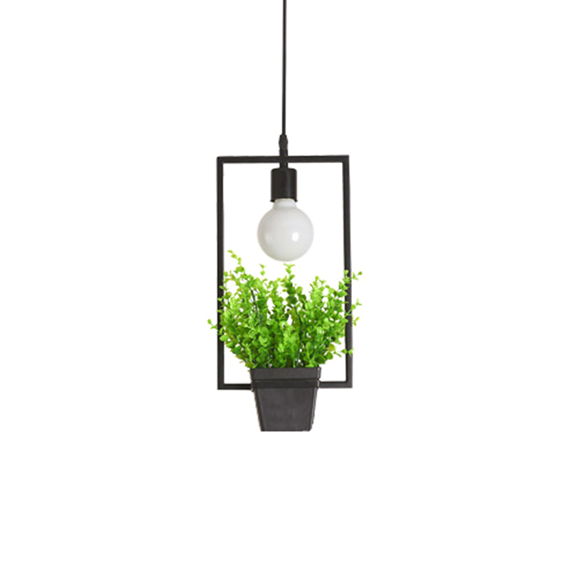 Single Plant Pendant Light Fixture - Rustic Iron Hanging Lamp in Black (Triangle/Square/Oval)