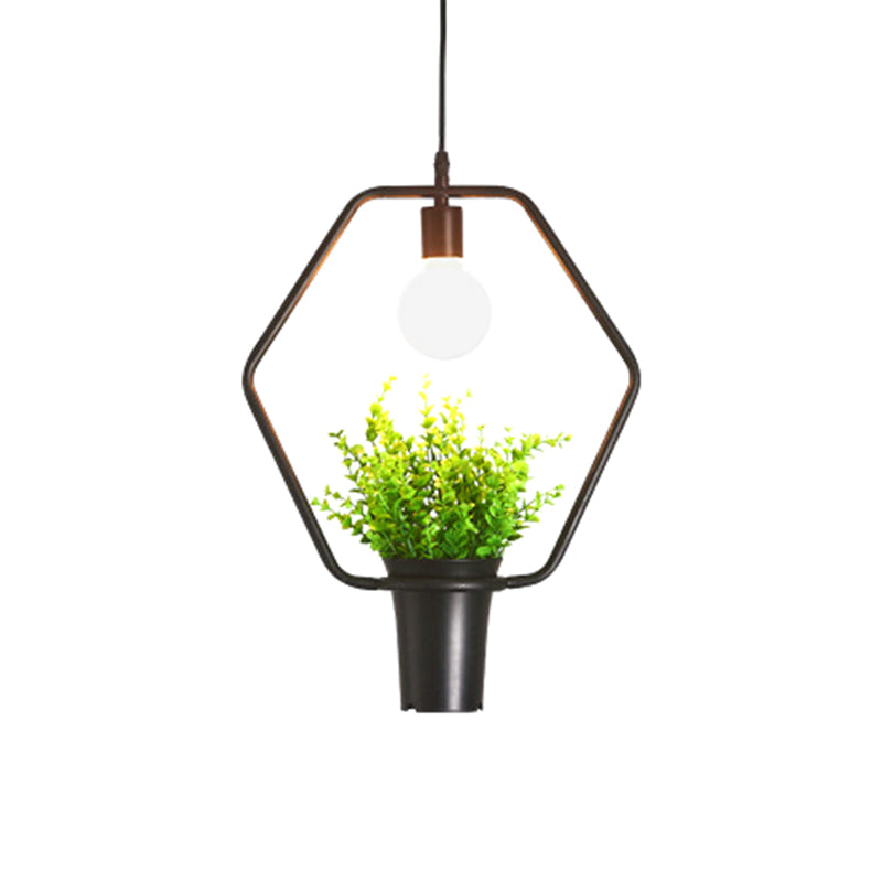 Single Plant Pendant Light Fixture - Rustic Iron Hanging Lamp in Black (Triangle/Square/Oval)