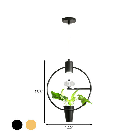 Modern Metal LED Pendant Light in Loft Black/Gold with Adjustable Shape for Dining Room and Plant Display