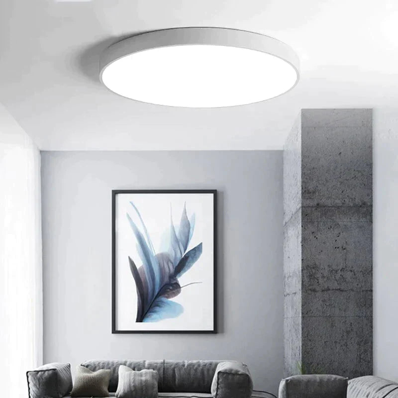 Metal Modern Led Ceiling Light Black&White Simple Chandelier Lamp For Living Room Bedroom Dining