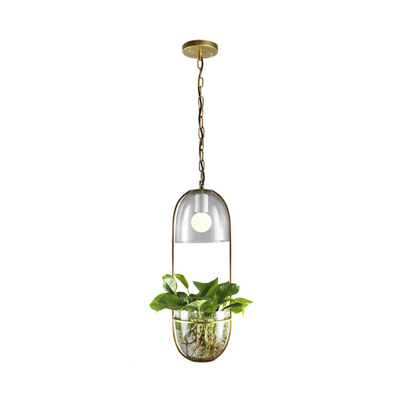 Antique Clear Glass Hemisphere Pendant Light with Gold Oblong Frame and Planter