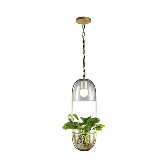 Antique Gold Hemispheric Glass Pendant Light With Oblong Frame And Hanging Planter