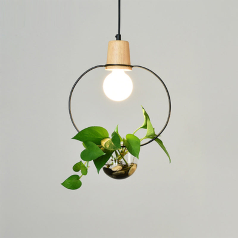 Contemporary Clear Glass Planter Lamp - 1-Light Pendant for Study Room Lighting