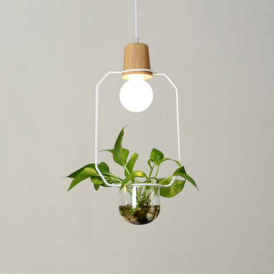 Contemporary Clear Glass Planter Lamp - 1-Light Pendant for Study Room Lighting