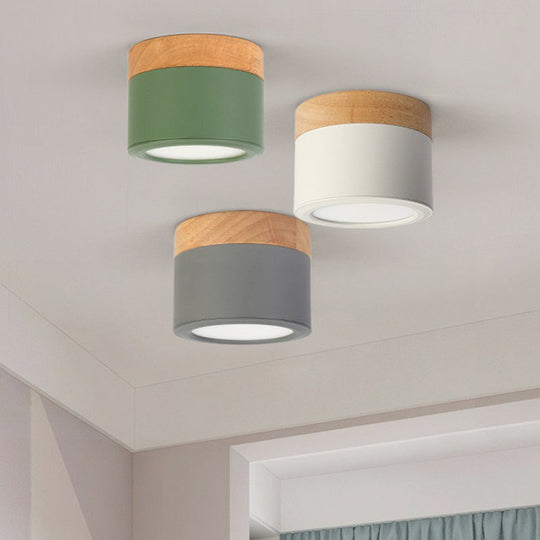 Metallic LED Flush Mount Macaron Ceiling Light for Bedroom