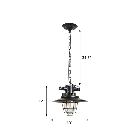 Industrial Black Wire Cage Pendant Light with Clear Glass Shade