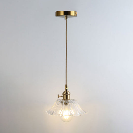 Clear Glass Pendant Lighting Fixture with Simplicity Shaded Hanging Light