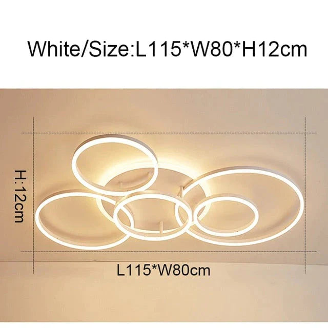 2/3/5/6 Circle Rings Modern Led Ceiling Lights For Living Room Bedroom Study Room White/Brown Color Ceiling Lamp