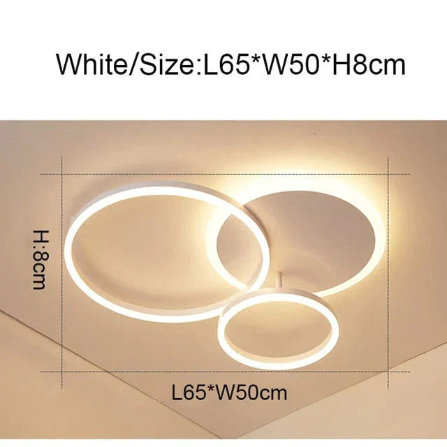 2/3/5/6 Circle Rings Modern Led Ceiling Lights For Living Room Bedroom Study Room White/Brown Color Ceiling Lamp