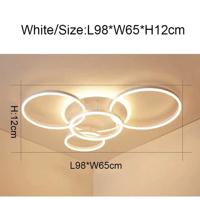 2/3/5/6 Circle Rings Modern Led Ceiling Lights For Living Room Bedroom Study Room White/Brown Color Ceiling Lamp