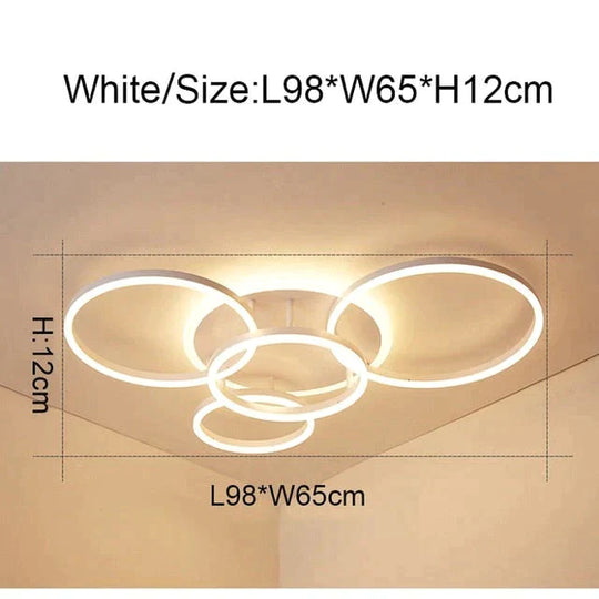 2/3/5/6 Circle Rings Modern Led Ceiling Lights For Living Room Bedroom Study White/Brown Color Lamp