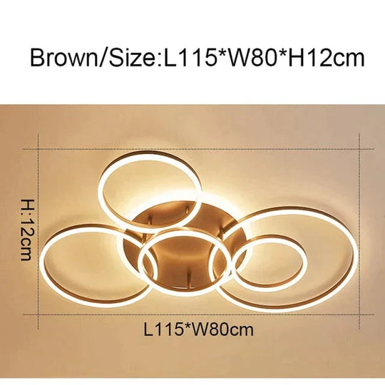 2/3/5/6 Circle Rings Modern Led Ceiling Lights For Living Room Bedroom Study White/Brown Color Lamp