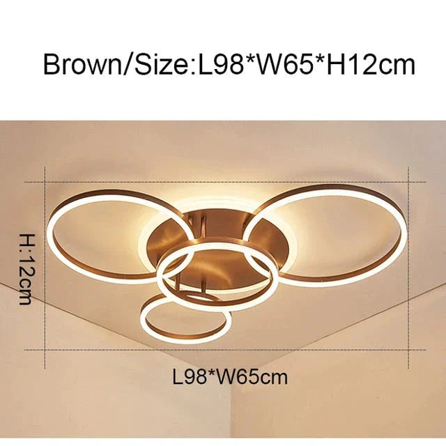 2/3/5/6 Circle Rings Modern Led Ceiling Lights For Living Room Bedroom Study Room White/Brown Color Ceiling Lamp