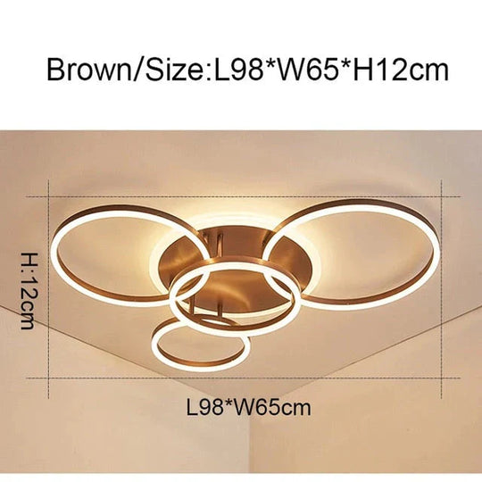 2/3/5/6 Circle Rings Modern Led Ceiling Lights For Living Room Bedroom Study Room White/Brown Color Ceiling Lamp