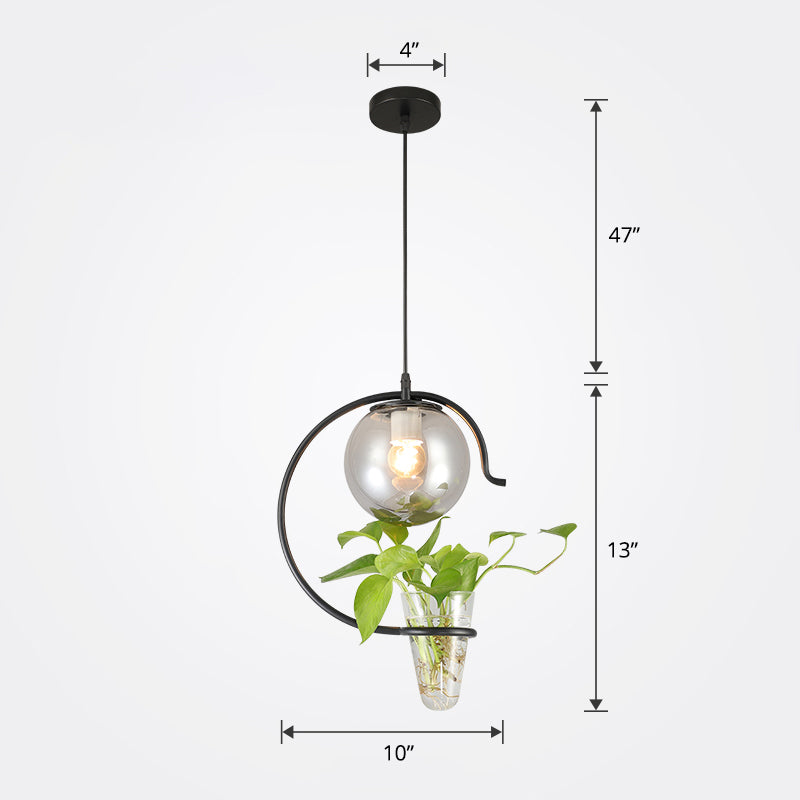 Loft Glass 1-Light Ball Restaurant Hanging Light with Cone Plant Container