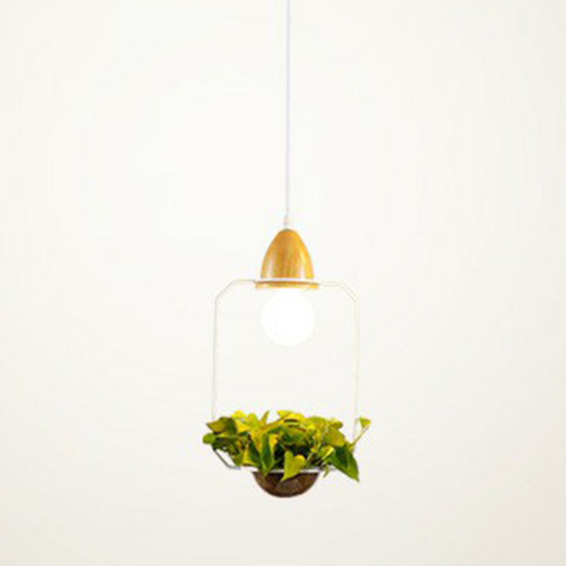 Industrial Metal Pendant Light With Hanging Plant Pot For Dining Room Decor White / Rectangle