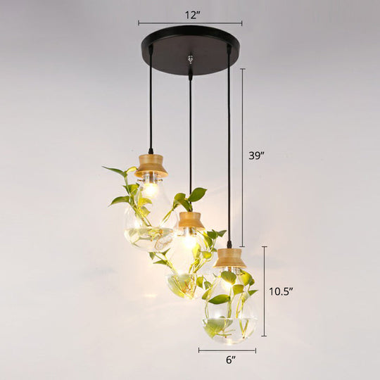 Teardrop Nordic Hydroponic Pendant Lamp - Clear Glass & Black