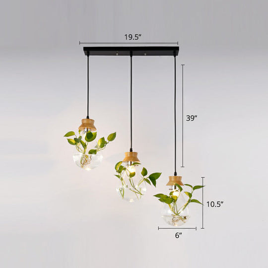 Nordic Teardrop Glass Pendant Lamp - Hydroponic Plant Suspension Light (Black) Black / 19.5