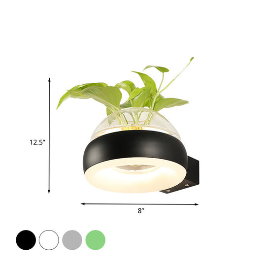 Industrial Clear Glass Dome Wall Sconce With Led Lighting And Plant Container In Black/Grey/White