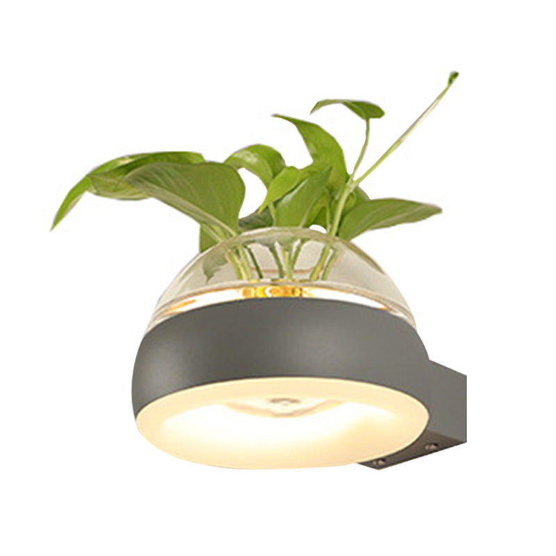 Industrial Clear Glass Dome Wall Sconce With Led Lighting And Plant Container In Black/Grey/White