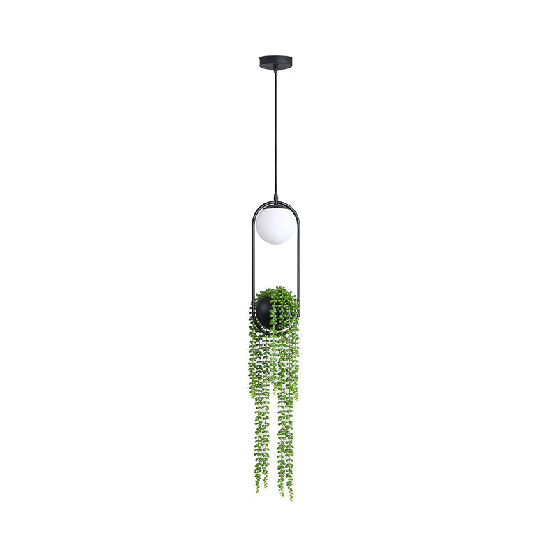 Black Metal LED Hanging Lamp for Industrial & Global Plant Decor