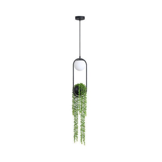 Industrial Global Plant Hanging Light - Metal Led Suspension Lamp (Black)