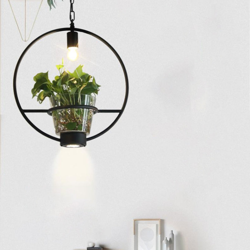 Black Industrial Iron Pendant with Clear Glass Plant Pot: 1 Light Down Lighting Cage Design