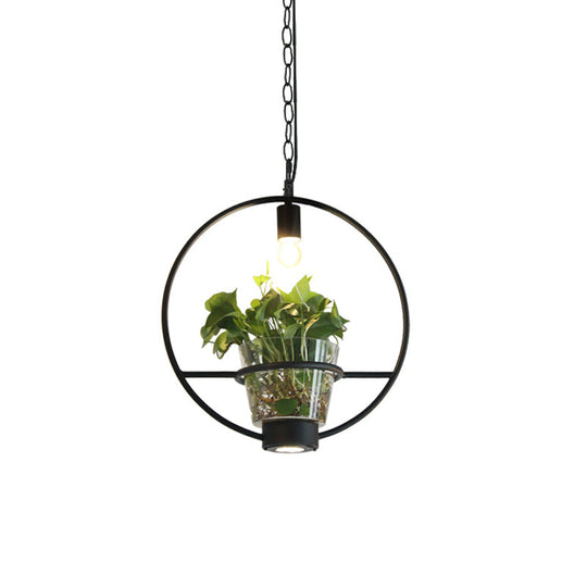 Black Industrial Iron Pendant with Clear Glass Plant Pot: 1 Light Down Lighting Cage Design