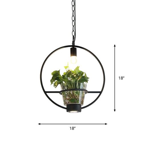 Black Industrial Iron Pendant with Clear Glass Plant Pot: 1 Light Down Lighting Cage Design