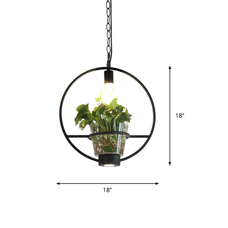 Industrial Cage Drop Pendant With Clear Glass Plant Pot - Black Iron And Down Lighting