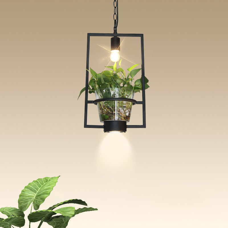 Industrial Cage Drop Pendant With Clear Glass Plant Pot - Black Iron And Down Lighting / D