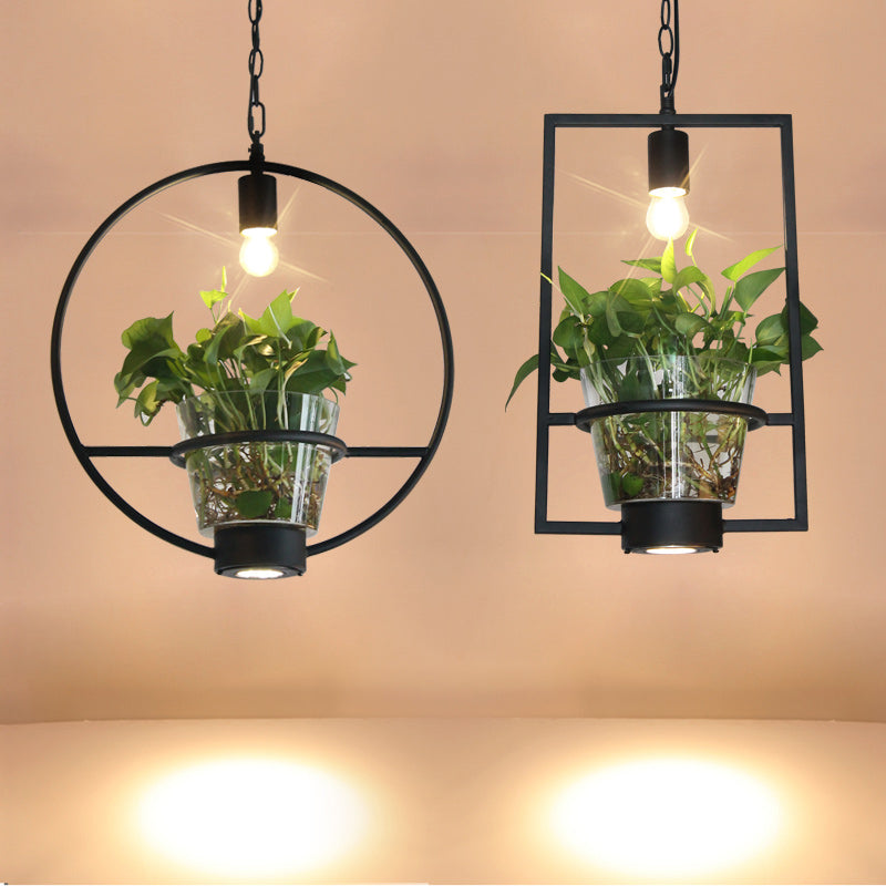 Black Industrial Iron Pendant with Clear Glass Plant Pot: 1 Light Down Lighting Cage Design