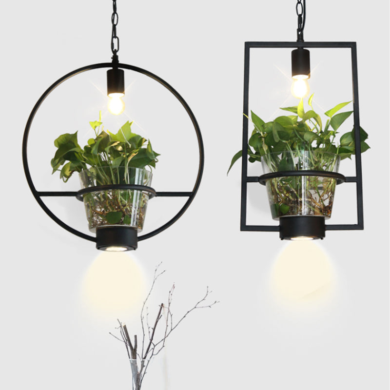 Black Industrial Iron Pendant with Clear Glass Plant Pot: 1 Light Down Lighting Cage Design