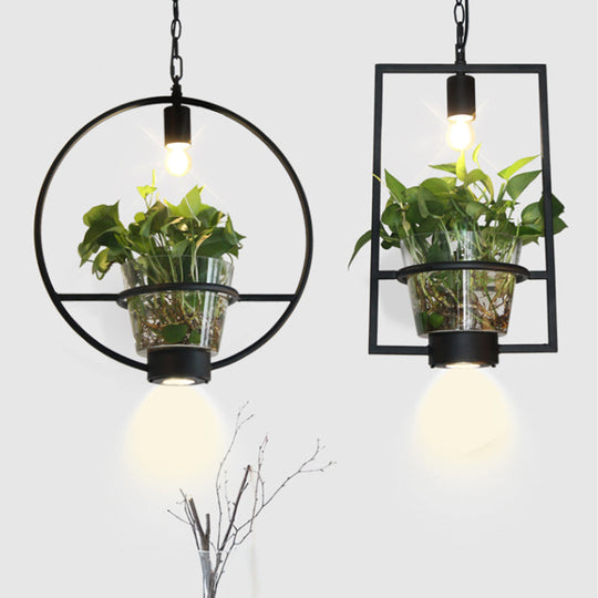 Industrial Cage Drop Pendant With Clear Glass Plant Pot - Black Iron And Down Lighting