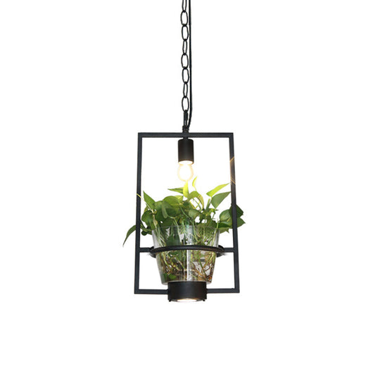 Black Industrial Iron Pendant with Clear Glass Plant Pot: 1 Light Down Lighting Cage Design