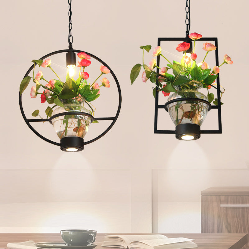 Black Industrial Iron Pendant with Clear Glass Plant Pot: 1 Light Down Lighting Cage Design