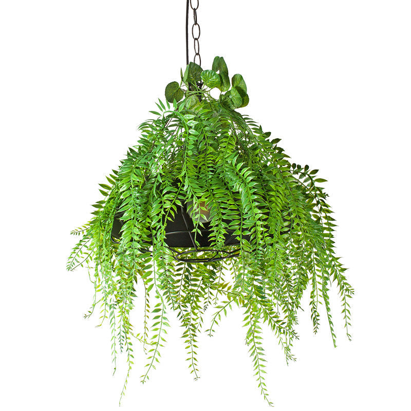 Wire Guard Drop Pendant Ceiling Light with Artificial Green Plant - Black Iron Finish