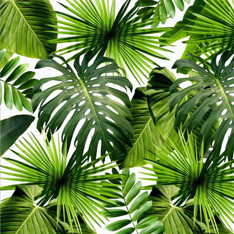 Emily's Custom 3D Mural Wallpaper: Tropical Rain Forest Banana Leaves